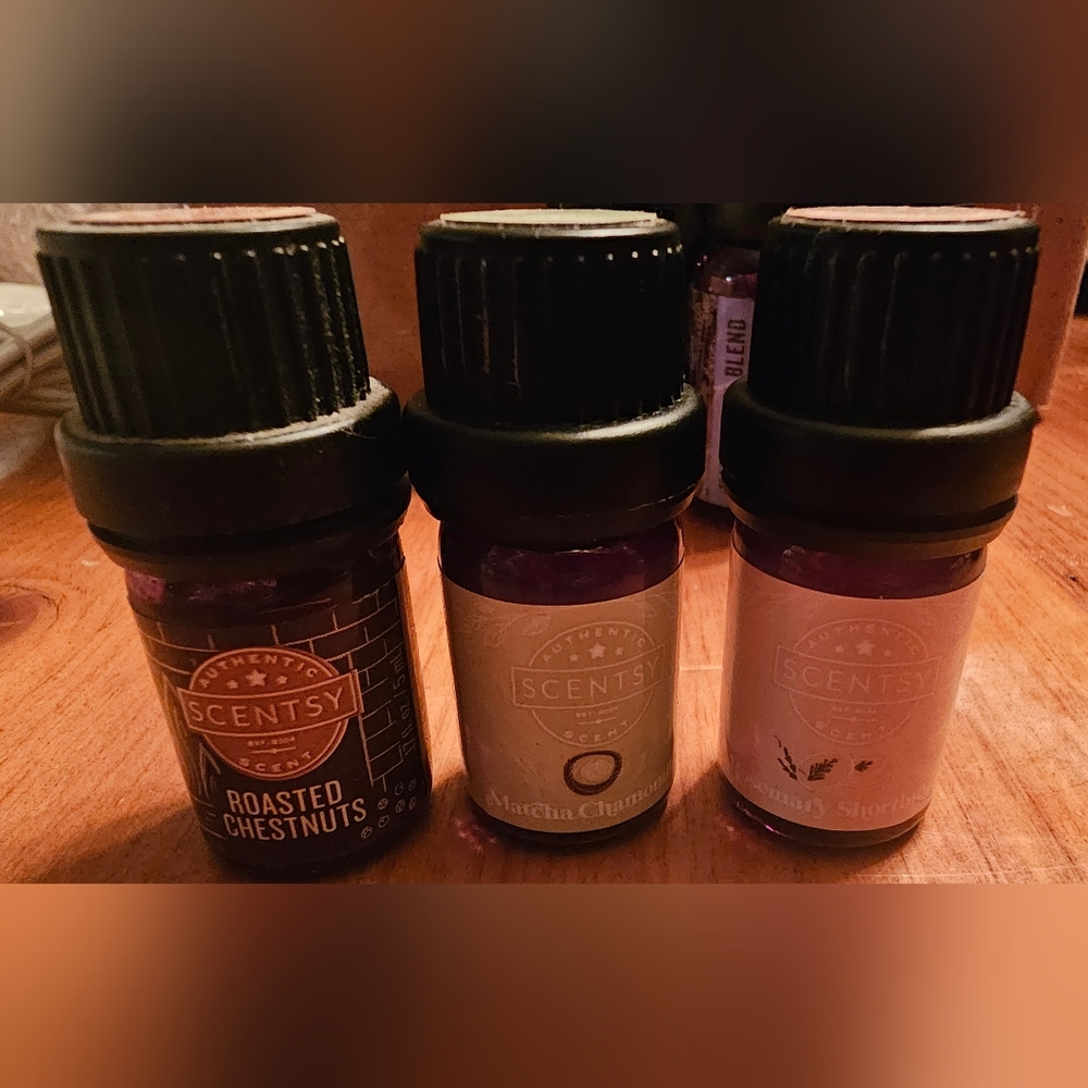 SCENTSY - Picture 3 of 5